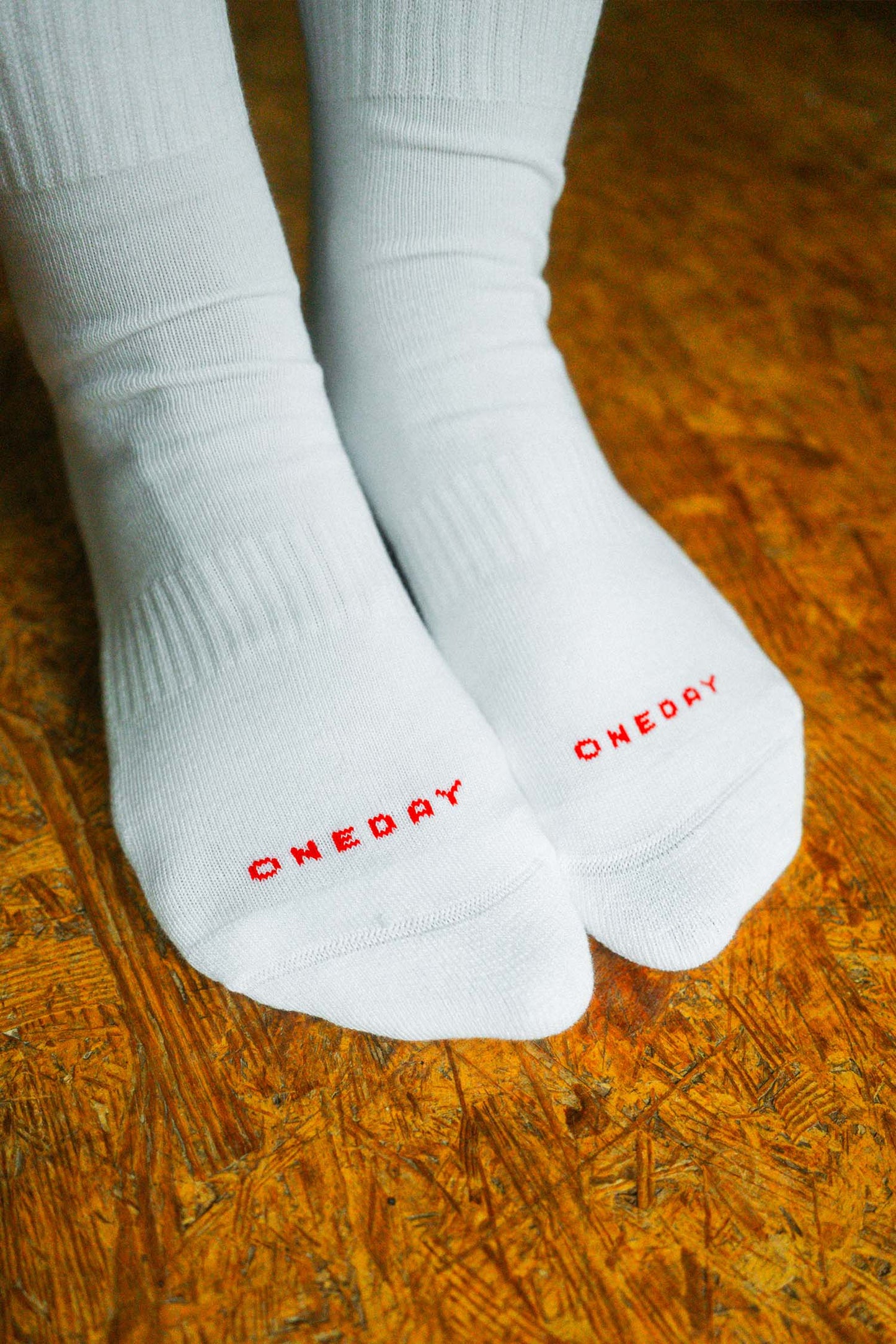 ONE DAY Inclusione Socks