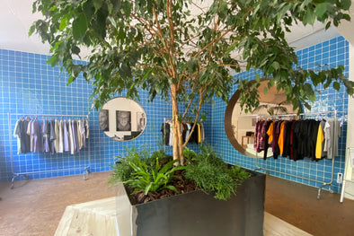 SHOWROOM OPENING