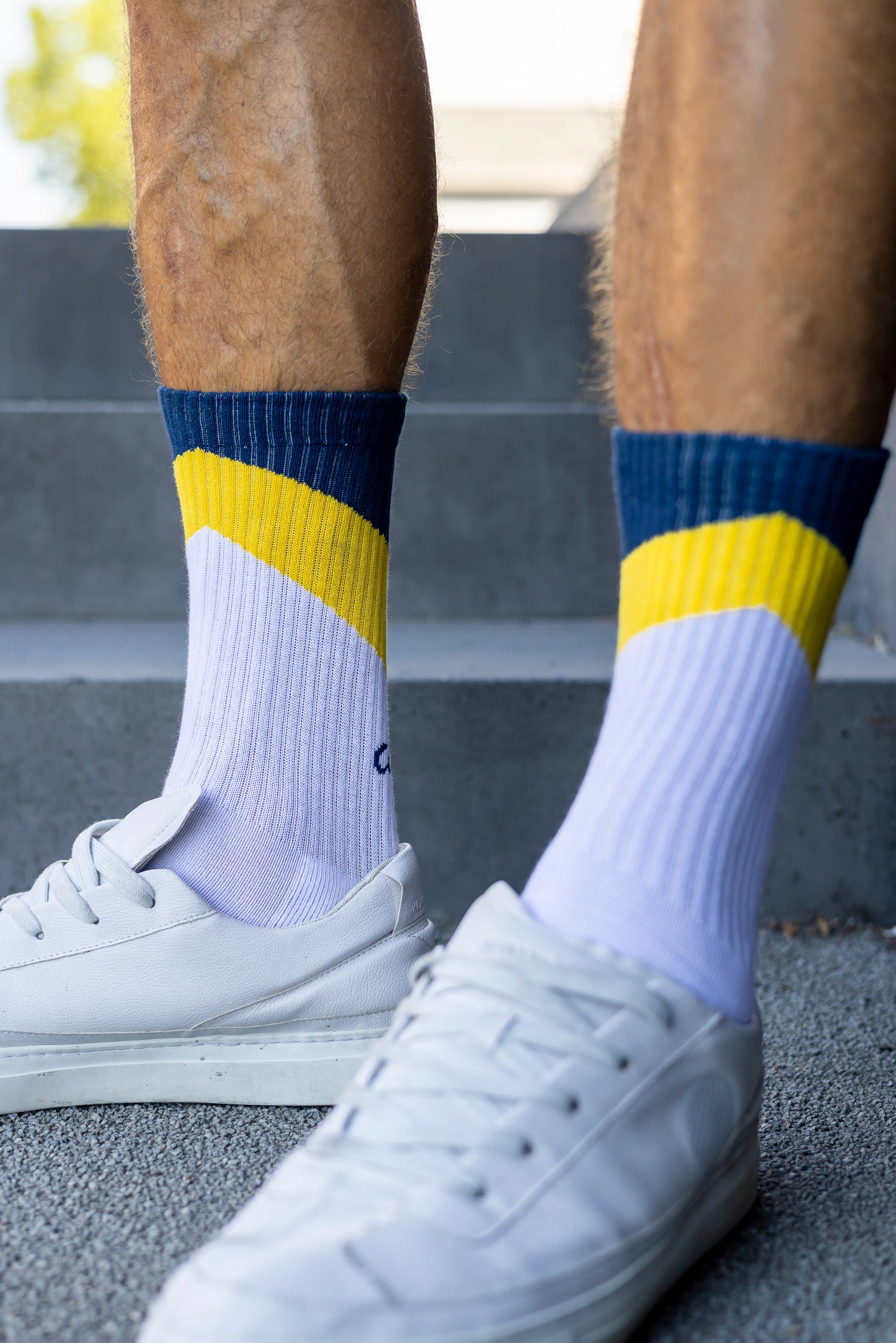 ZIG ZAG Socks, white/yellow/blue